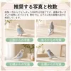 商品画像 7 のサムネイル
