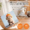 商品画像 5 のサムネイル