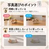 商品画像 6 のサムネイル