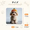 商品画像 9 のサムネイル