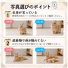 商品画像 5 のサムネイル