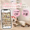 商品画像 2 のサムネイル
