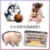 商品画像 2 のサムネイル