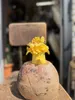 商品画像 10 のサムネイル