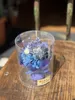 商品画像 6 のサムネイル