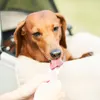 商品画像 8 のサムネイル