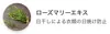 商品画像 5 のサムネイル