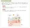 商品画像 7 のサムネイル