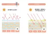 商品画像 8 のサムネイル