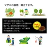 商品画像 5 のサムネイル