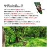 商品画像 2 のサムネイル