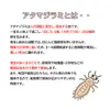商品画像 5 のサムネイル