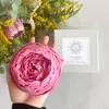 商品画像 6 のサムネイル