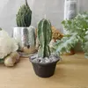 商品画像 2 のサムネイル