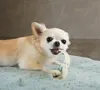 商品画像 5 のサムネイル