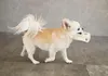 商品画像 9 のサムネイル