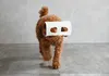 商品画像 10 のサムネイル