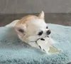 商品画像 6 のサムネイル