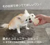 商品画像 3 のサムネイル