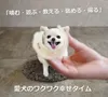 商品画像 2 のサムネイル