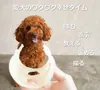 商品画像 2 のサムネイル