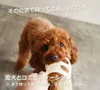 商品画像 3 のサムネイル