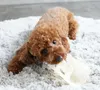 商品画像 5 のサムネイル