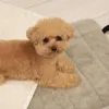 商品画像 1 のサムネイル