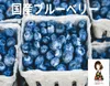 商品圖片 3 縮圖