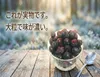 商品圖片 2 縮圖