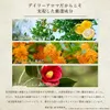 商品画像 5 のサムネイル