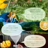 商品画像 9 のサムネイル