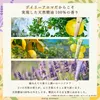 商品画像 4 のサムネイル