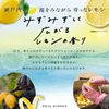 商品画像 8 のサムネイル