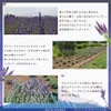 商品画像 4 のサムネイル
