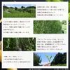 商品画像 4 のサムネイル