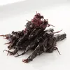 商品圖片 2 縮圖