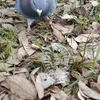 商品画像 4 のサムネイル