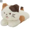 商品画像 6 のサムネイル