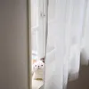 商品画像 9 のサムネイル