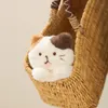 商品画像 5 のサムネイル