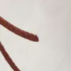Thumbnail of product image 4