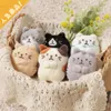 商品画像 1 のサムネイル