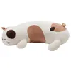 Thumbnail of product image 4