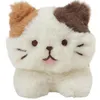 商品画像 8 のサムネイル