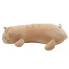 Thumbnail of product image 4