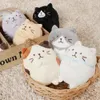 Thumbnail of product image 1