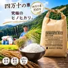 商品画像 1 のサムネイル