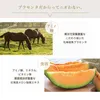商品画像 4 のサムネイル