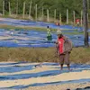 商品圖片 2 縮圖